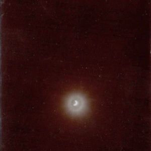 Meet your Posher, Bailey